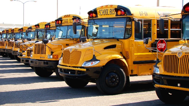 Bus Line Bus Line